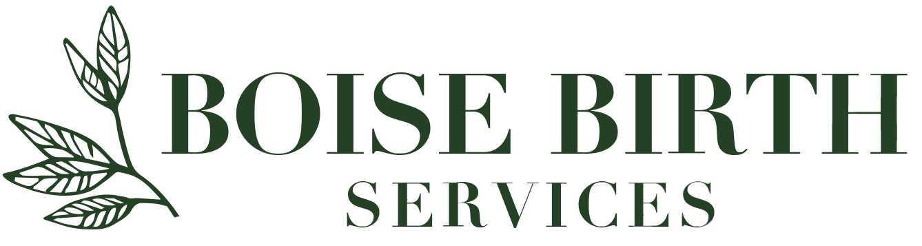 Boise Birth Services